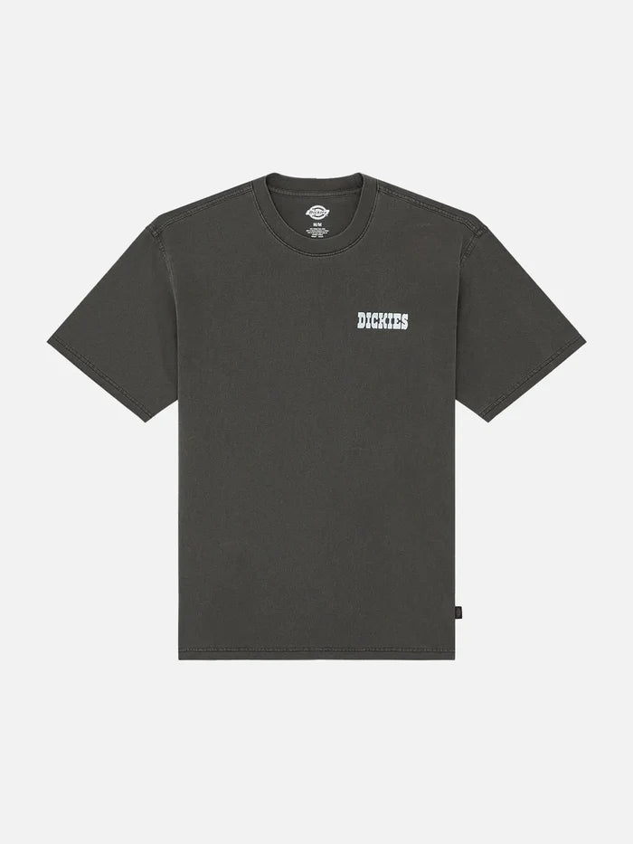 DICKIES Buchtell SS Tee - Black - Uncategorized T-SHIRT