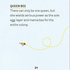 Build-Your-Own Beehive
