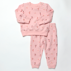 Coop Kids by Pink Chicken Baby Jax Jogger Set in Tiny Ballerinas