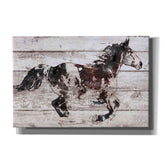 Epic Graffiti 'Running Arabian Horse' by Irena Orlov, Giclee Canvas Wall Art
