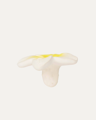 Hawaii the Flower Infant Teether