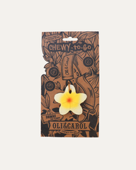 Hawaii the Flower Infant Teether
