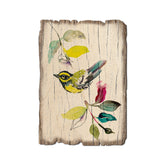 Henning's Branch Warbler - Rustic Edge Postcards & Magnets Rustic Edge Postcard (5pk // $2.80ea)