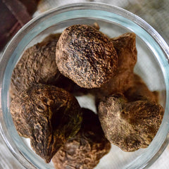 High John the Conqueror Root (Large)