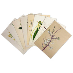 Set of greeting cards with botanical designs on a white background