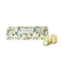 Lemon Verbena and Quince Set of 5 Scented Candles