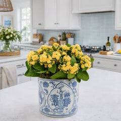 Mid Size Round Trellis Planter by The Enchanted Home