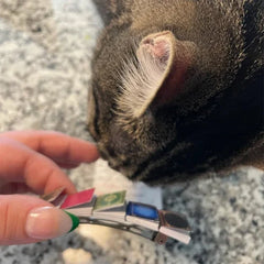 ๐๐๐๐Miniature book hair clip barrette