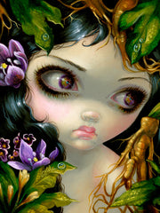 Poisonous Beauties 14