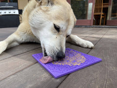 Sodapup Bones Lick Mat for dogs