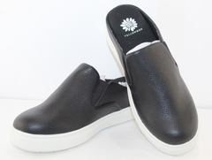 Yellow Box Black Women’s Mule Backless Flats