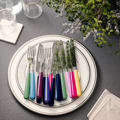 A set of Capdeco Altea Flatware 5 PPS with glossy handles is arranged on stacked plates beside glasses, a napkin, and a green leafy plant atop a gray tablecloth.