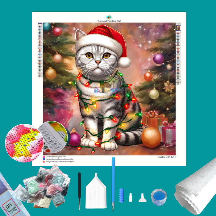 American Shorthair A Diamond Painting