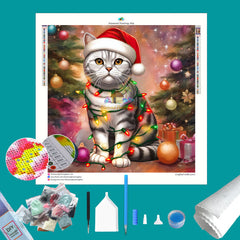American Shorthair A Diamond Painting