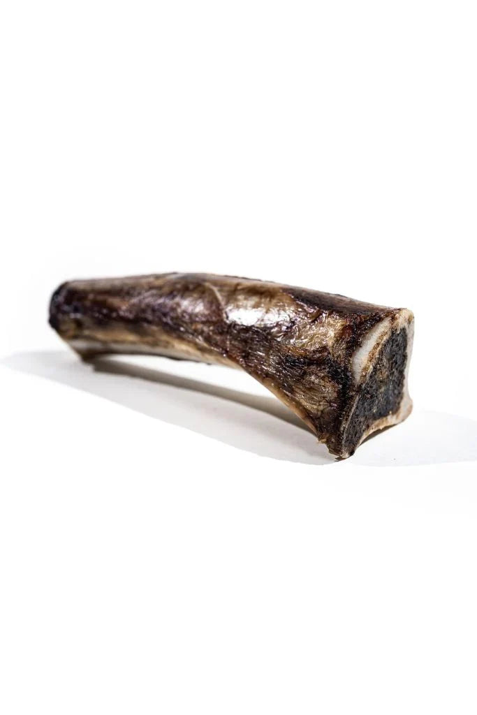 Bison Marrow Bone 6-8”
