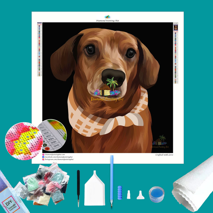 Dachshund with Scarf Diamond Painting