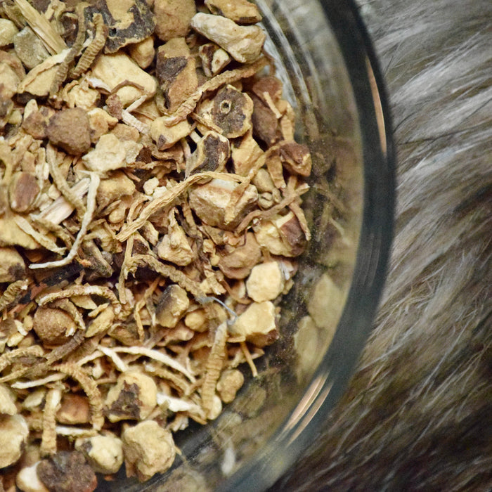 Dixie John Pieces (Southern John or Low John) Root