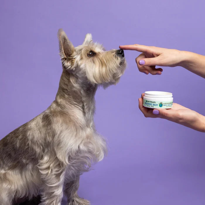 Earthbath Treatment Balm for Cats & Dogs 2.2 oz.