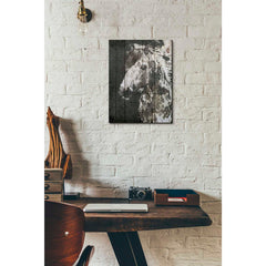 Epic Graffiti 'SPIRIT EYE Horse' by Irena Orlov, Giclee Canvas Wall Art