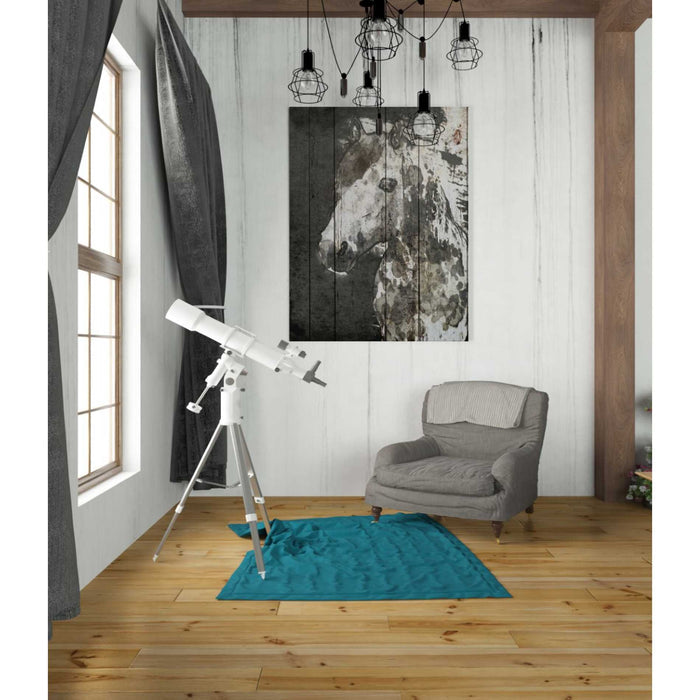 Epic Graffiti 'SPIRIT EYE Horse' by Irena Orlov, Giclee Canvas Wall Art