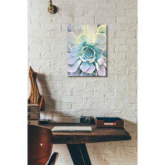 Epic Graffiti 'Unique Succulent' by Irena Orlov, Giclee Canvas Wall Art