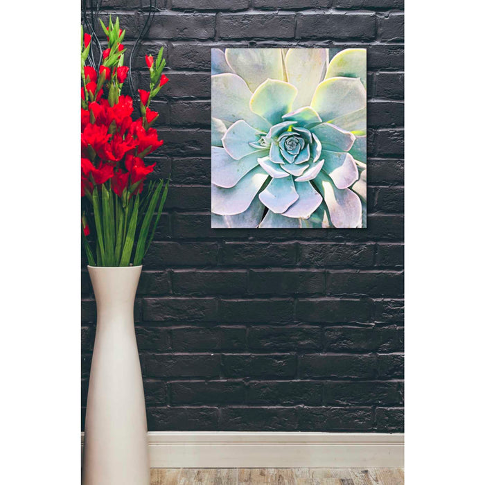 Epic Graffiti 'Unique Succulent' by Irena Orlov, Giclee Canvas Wall Art