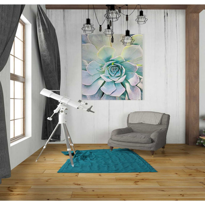 Epic Graffiti 'Unique Succulent' by Irena Orlov, Giclee Canvas Wall Art