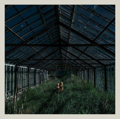 Buy – Foxing "Dealer" 12" – Band & Music Merch – Cold Cuts Merch