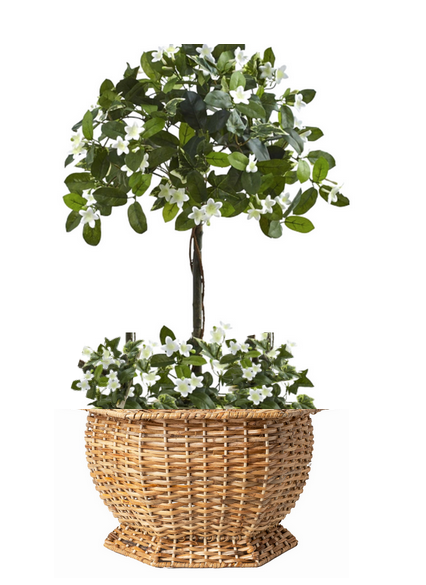 Hexagon Wicker Planter by The Enchanted Home