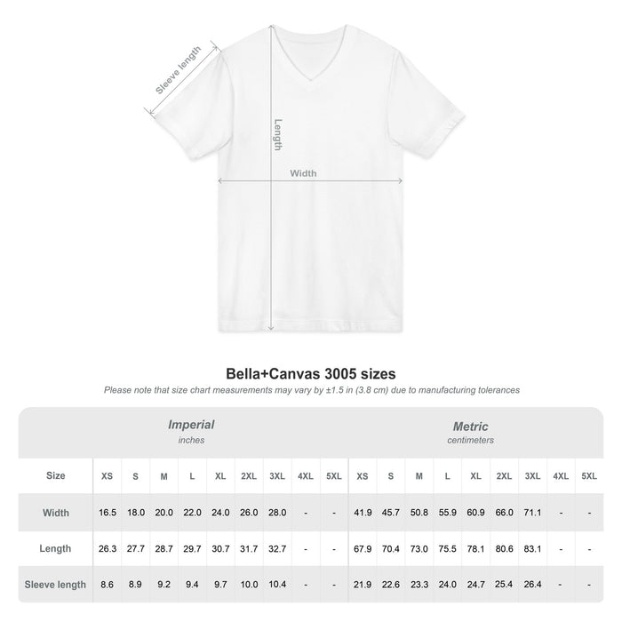 H&I Freedom From Alcoholism AA V-Neck Tee