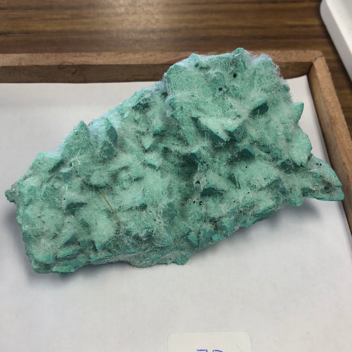 Kobyachevite Specimens