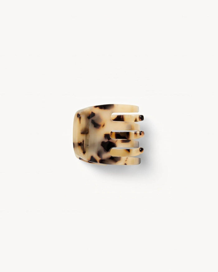 Blonde Tortoise