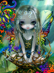 Paisley