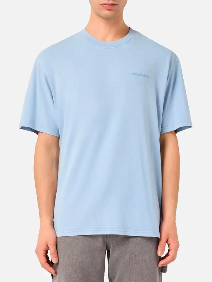 DICKIES Plentywood SS Tee - Endless Sky - Uncategorized T-SHIRT