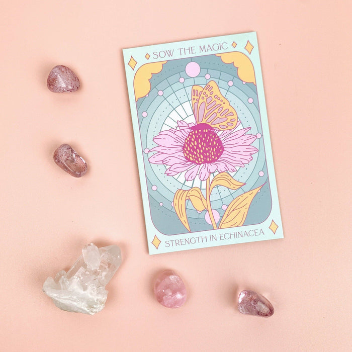 Strength in Echinacea Flower Tarot Seed Packet