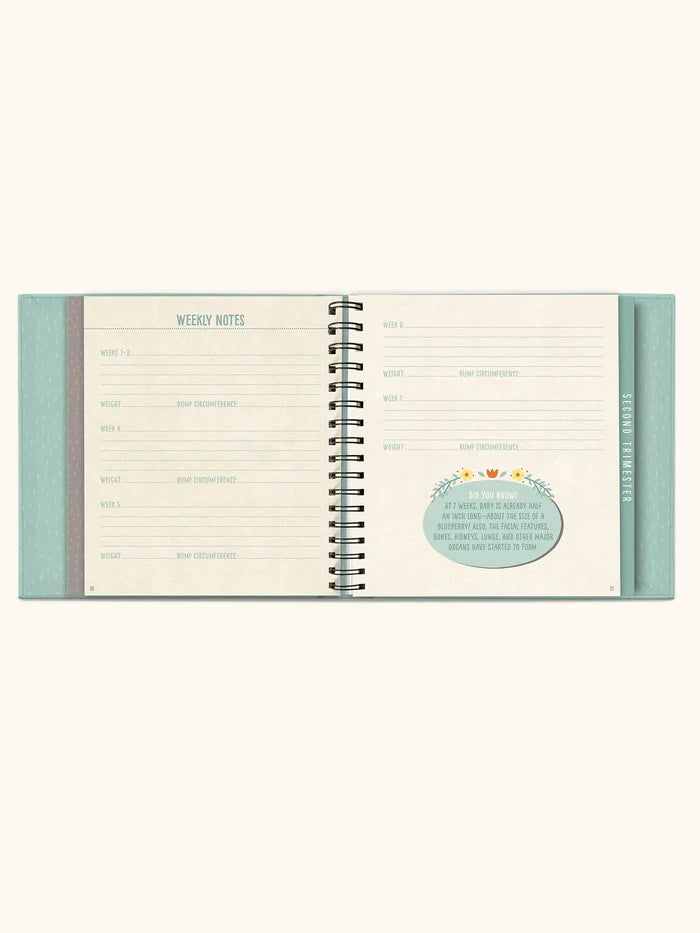 Studio Oh! Guided Journal - Bump For Joy!