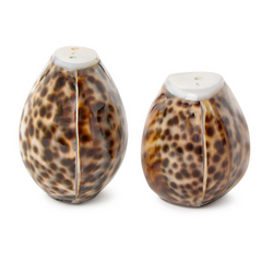 Tiger Cowrie Shell Salt and Pepper Shakers