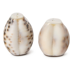 Tiger Cowrie Shell Salt and Pepper Shakers
