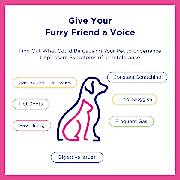 Ucari Intolerance Testing Kit for Pets