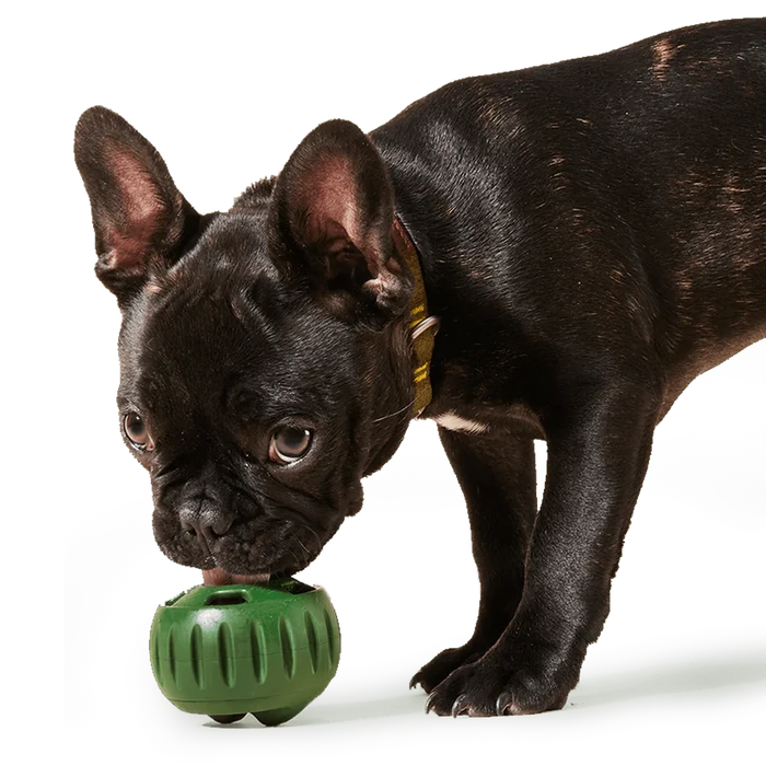 WOOF Pupsicle Interactive Dog Toy