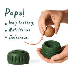 WOOF Pupsicle Interactive Dog Toy